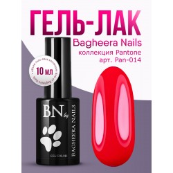 Гель-лак BN Pantone №14, 10мл
