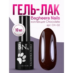 Гель-лак BN Chocolate №02, 10мл